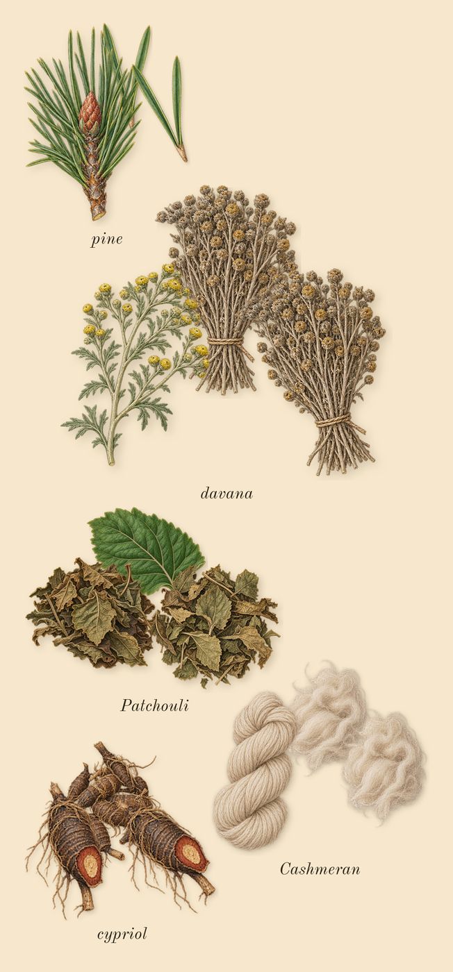 Reasons, heart: Patchouli, pine, Cashmeran, cypriol, davana