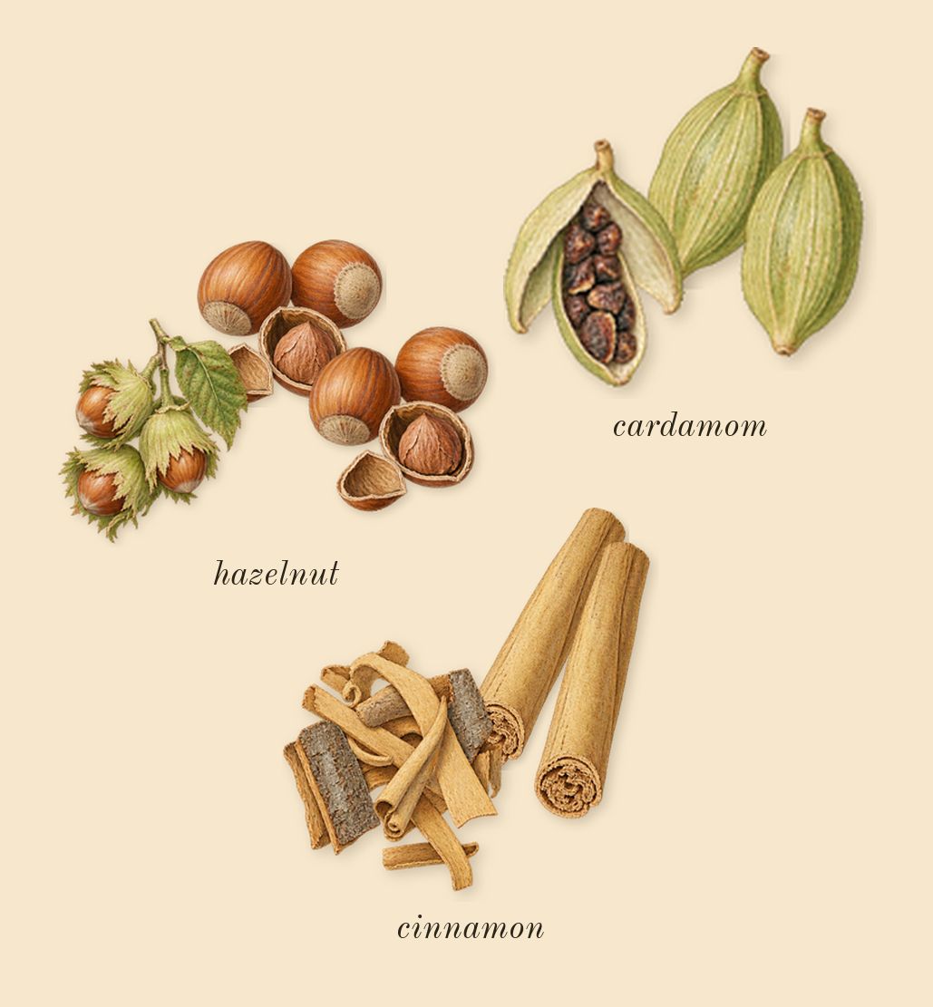 Reasons, top notes: cardamom, hazelnut, cinnamon
