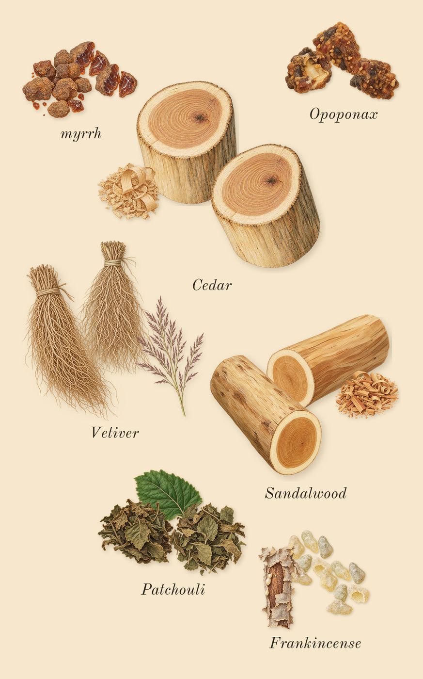 Reflection 45 Man, dry-down: Vetiver, Patchouli, Sandalwood, Cedar, myrrh, Frankincense, Opoponax