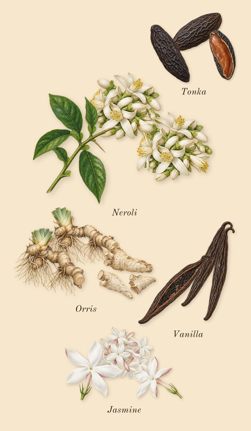 Reflection 45 Man, heart: Neroli, Orris, Jasmine, Tonka, Vanilla