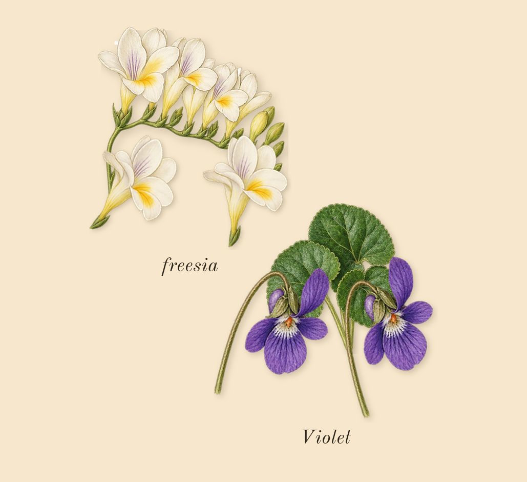 Reflection Woman, top notes: Violet, freesia