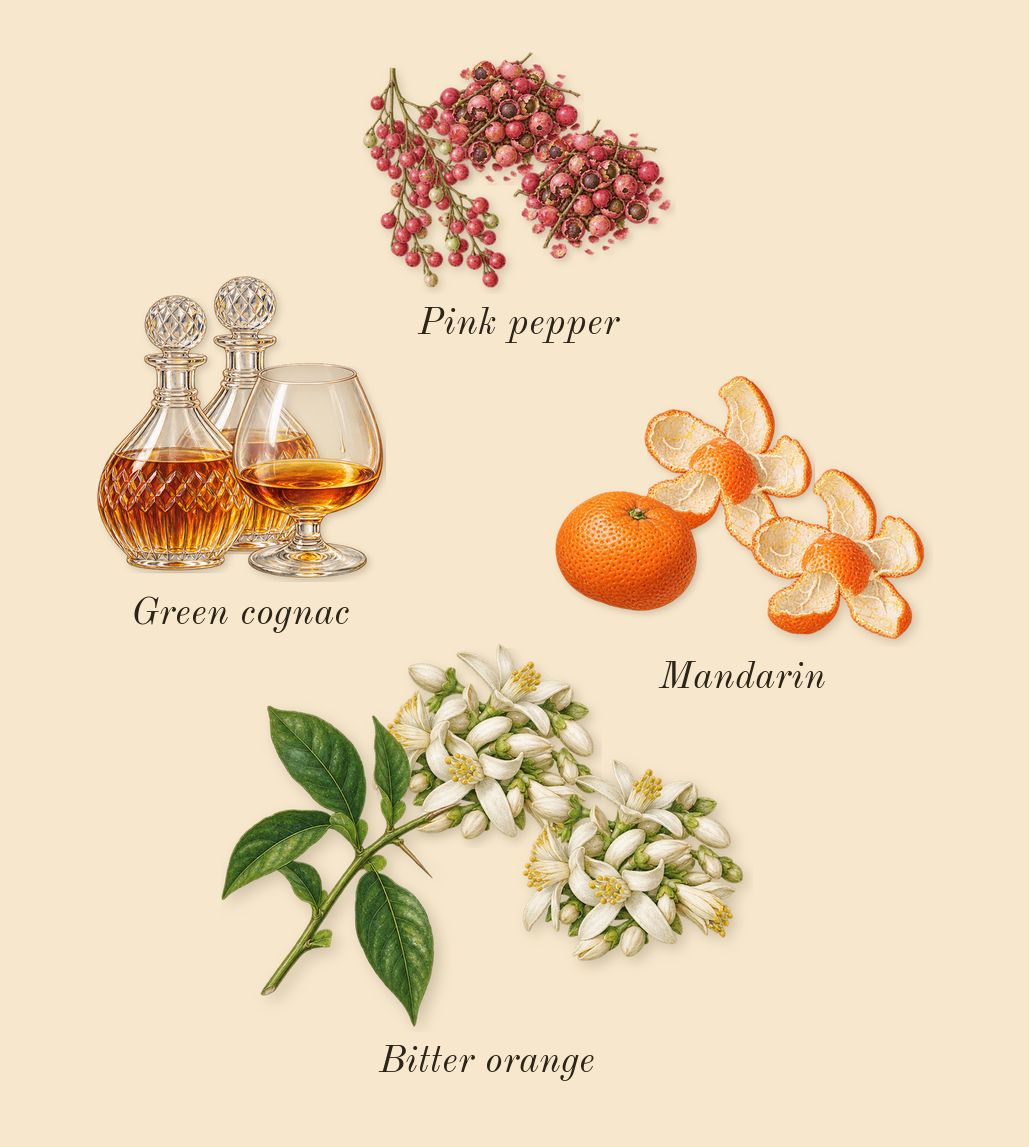 Tears, top notes: Green cognac, Pink pepper, Bitter orange, Mandarin