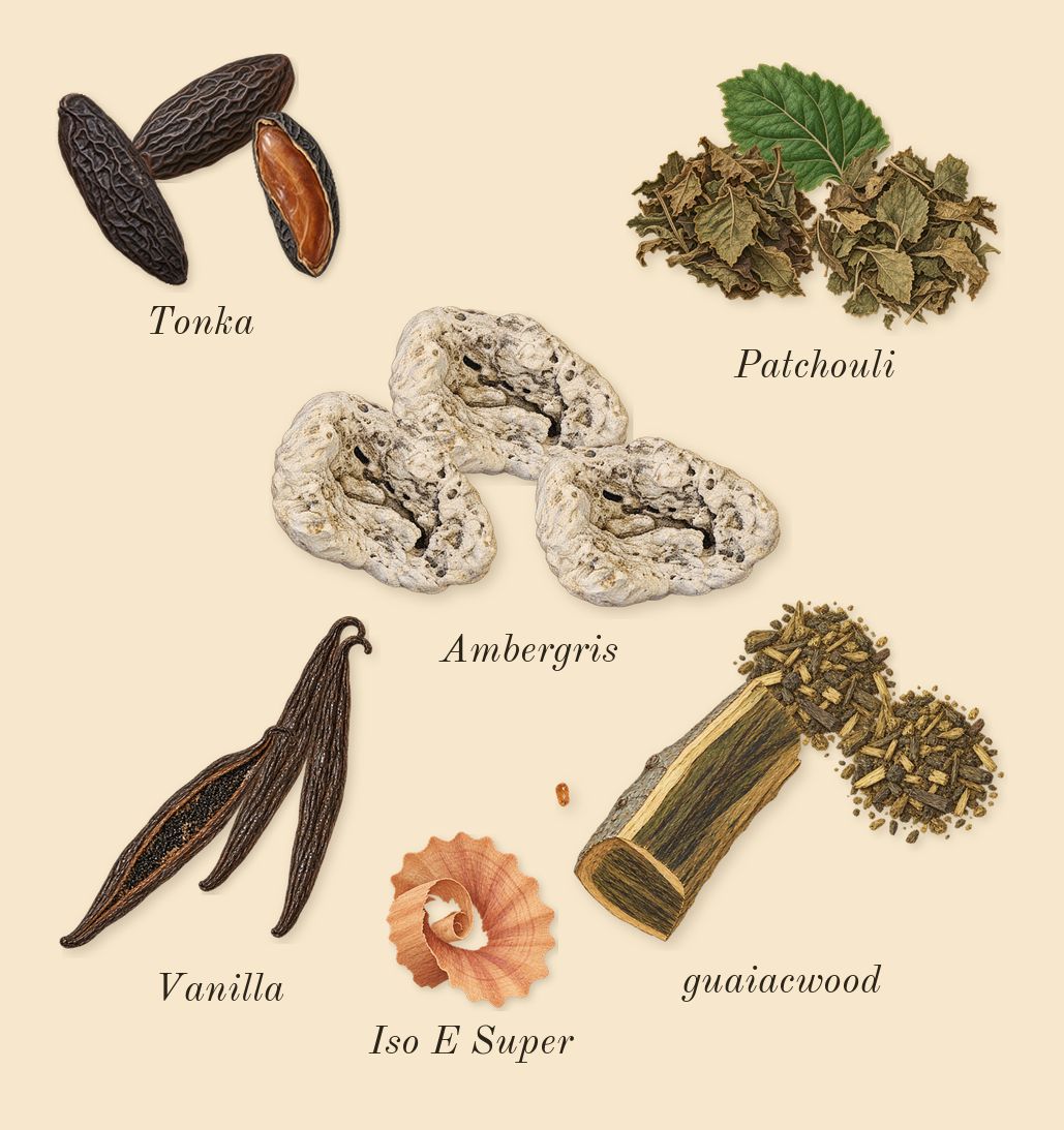 Remain, dry-down: Ambergris, guaiacwood, Patchouli, Vanilla, Tonka, Iso E Super
