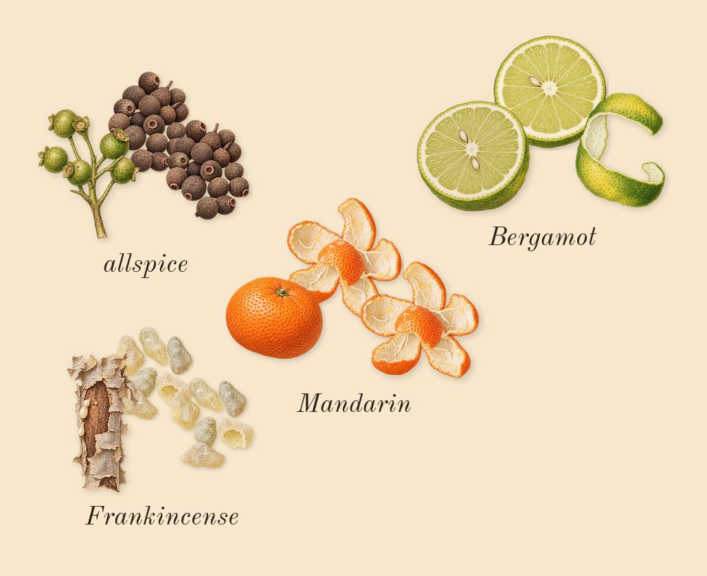 Remain, top notes: Frankincense, Mandarin, allspice, Bergamot