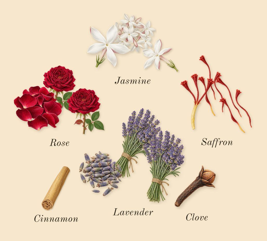 Serpentine, heart: Jasmine, Lavender, Saffron, Rose, Cinnamon, Clove