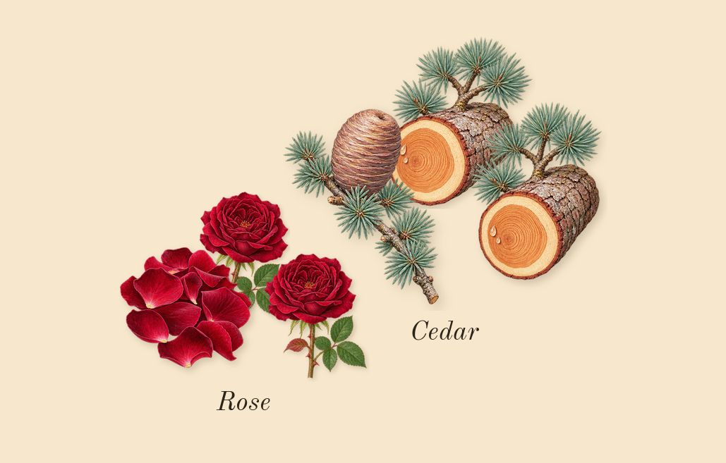 Moustache, heart: Rose, Cedar