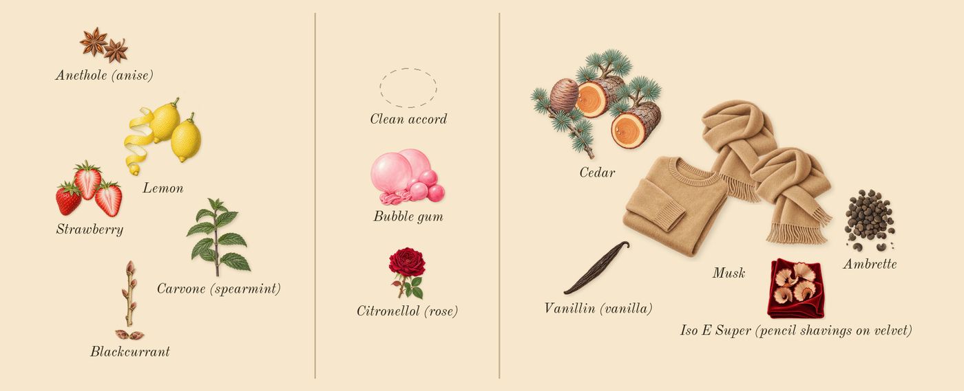Love-O-Matic’s scent picture, a draft: strawberry, blackcurrant, lemon, bubble gum, ambrette, musk drawn so far; dashed outlines where nothing is drawn yet