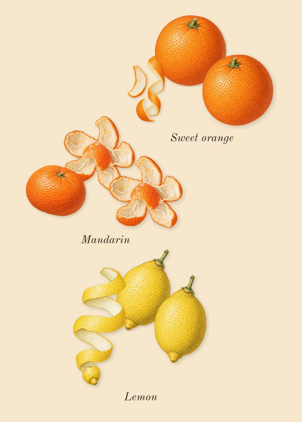 Wavechild, top notes: Sweet orange, Mandarin, Lemon