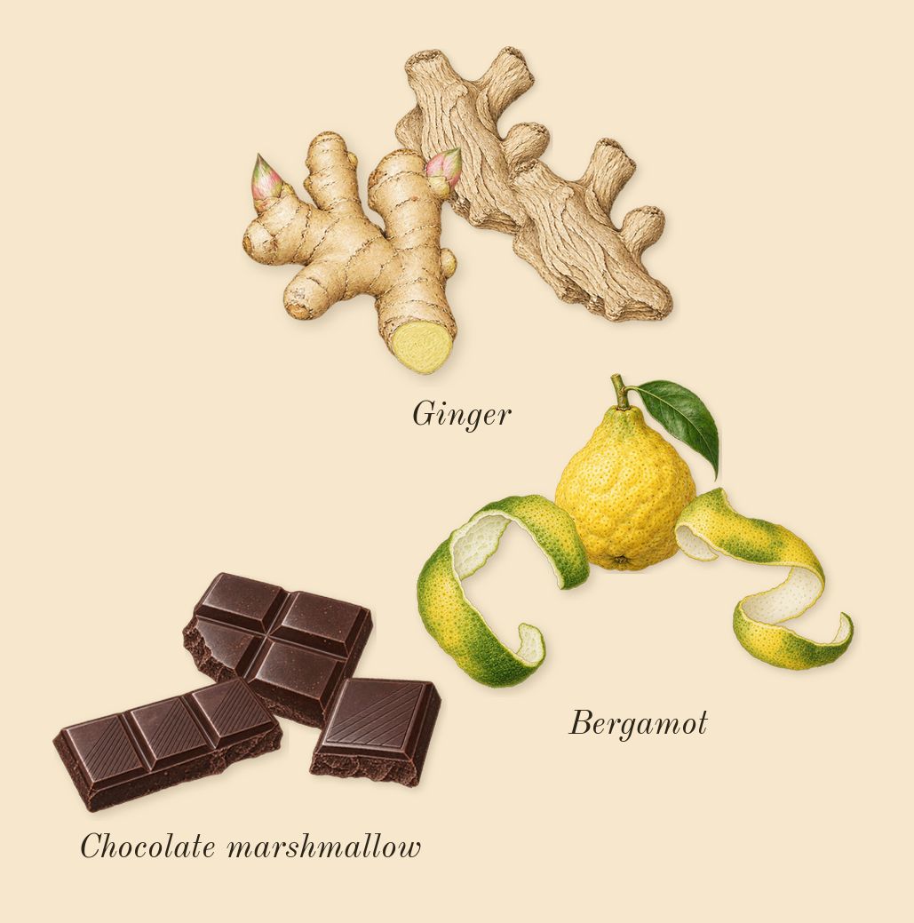 Sweet Tooth, top notes: Bergamot, Ginger, Chocolate marshmallow