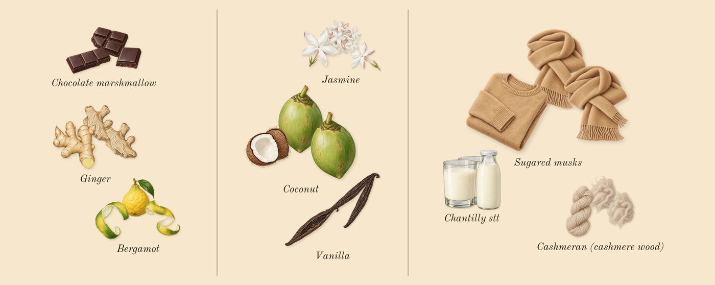 Sweet Tooth’s scent picture, a draft: bergamot, ginger, chocolate marshmallow, jasmine, coconut, vanilla drawn so far; dashed outlines where nothing is drawn yet