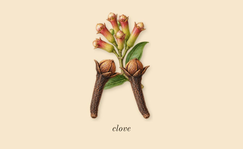 Santal Sohar, heart: clove