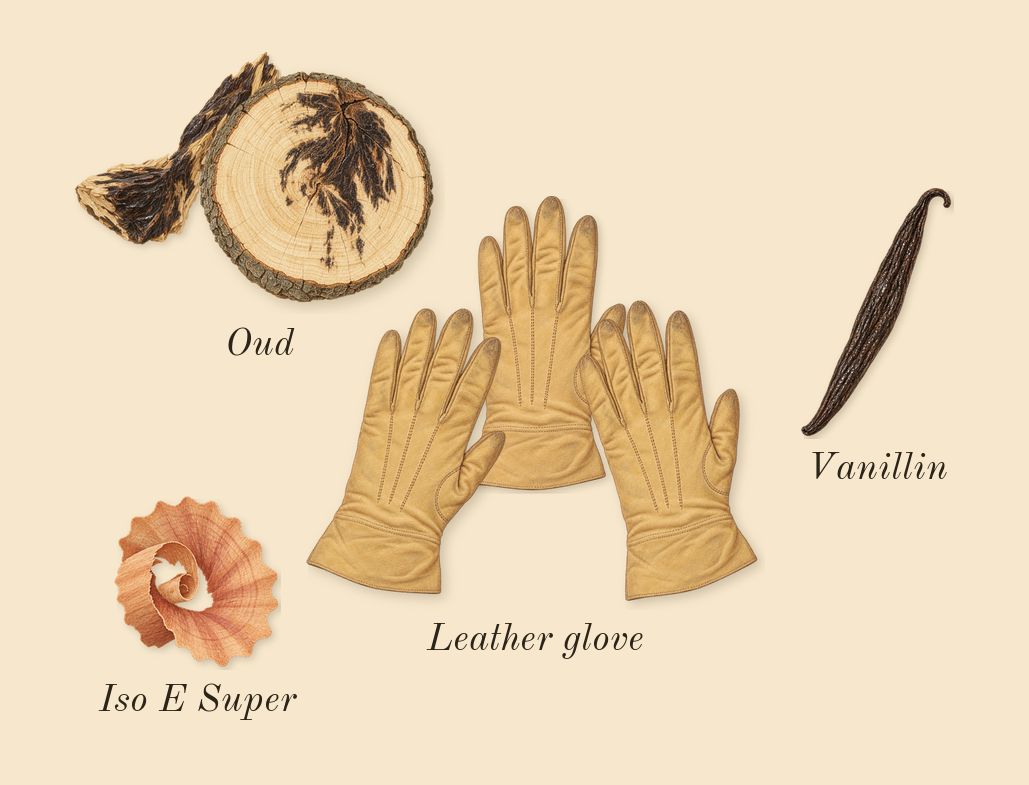 Sequence, dry-down: Oud, Leather glove, Iso E Super, Vanillin