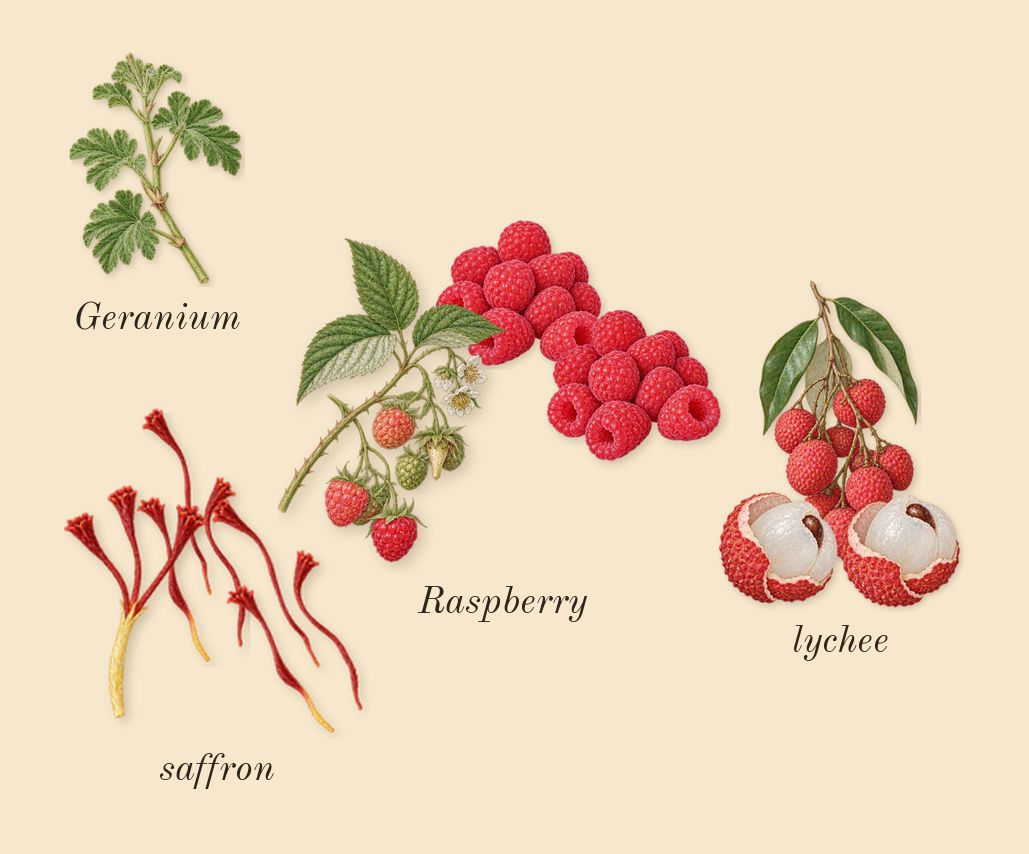 Sequence, top notes: lychee, Raspberry, saffron, Geranium