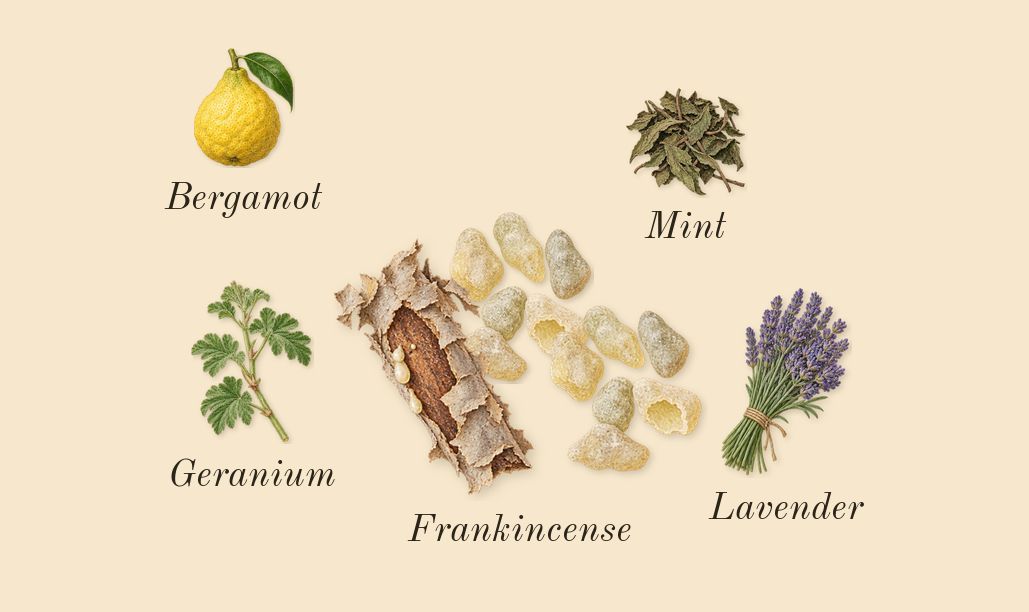 Chergui, top notes: Frankincense, Geranium, Bergamot, Mint, Lavender