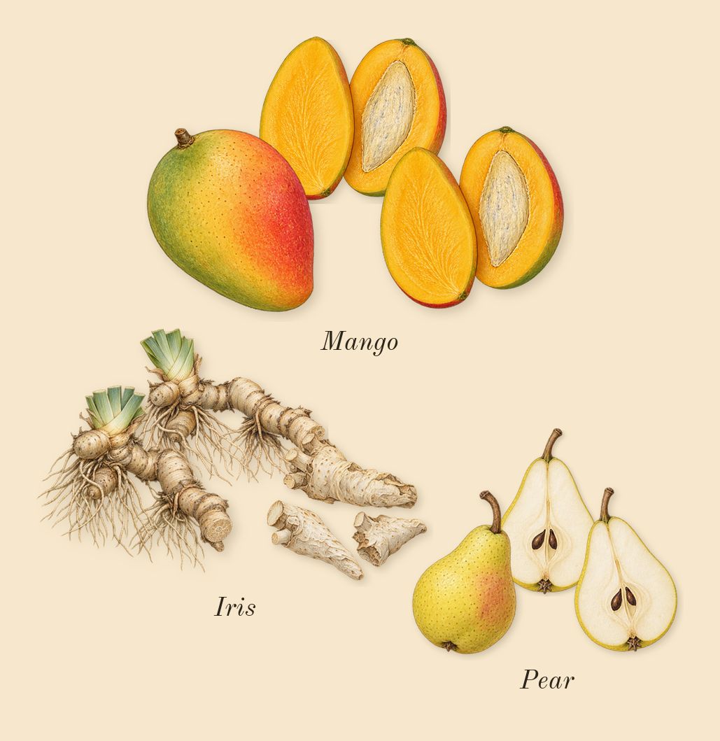 Me, heart: Iris, Mango, Pear