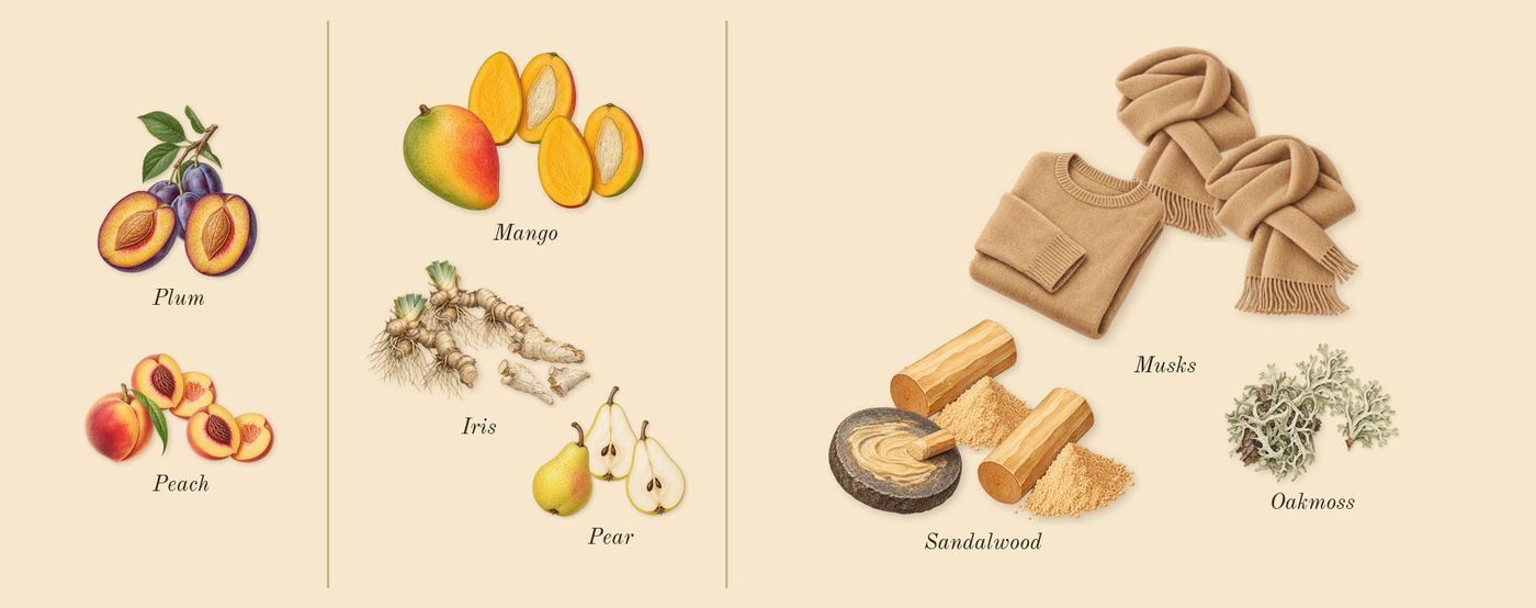 Me’s scent picture, a draft: peach, plum, iris, oakmoss, musks, sandalwood drawn so far; dashed outlines where nothing is drawn yet