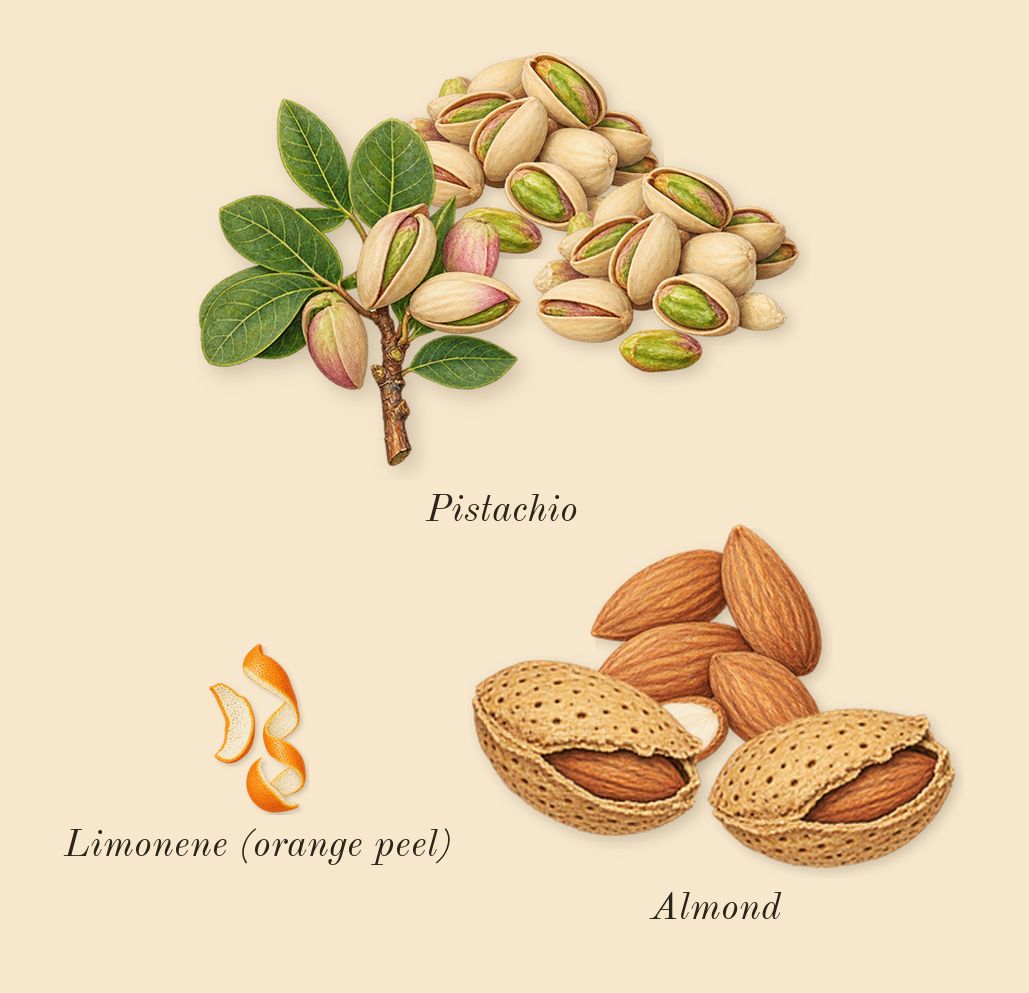 Cheirosa 62, top notes: Pistachio, Almond, Limonene (orange peel)