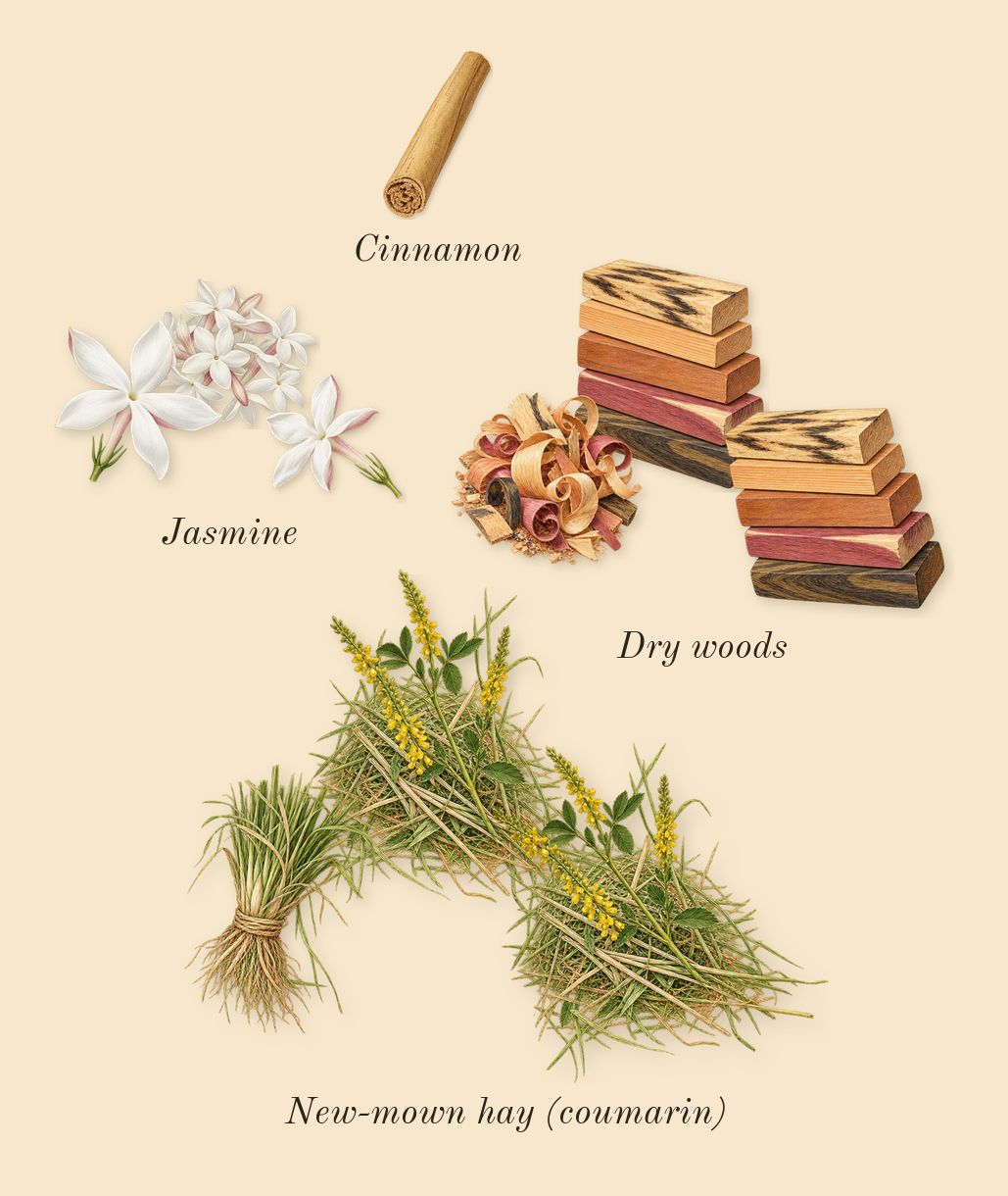 God of Fire, heart: New-mown hay (coumarin), Jasmine, Dry woods, Cinnamon