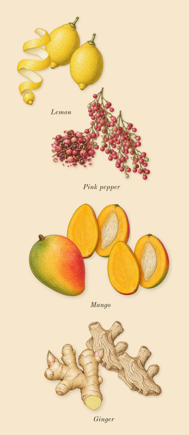 God of Fire, top notes: Mango, Lemon, Pink pepper, Ginger
