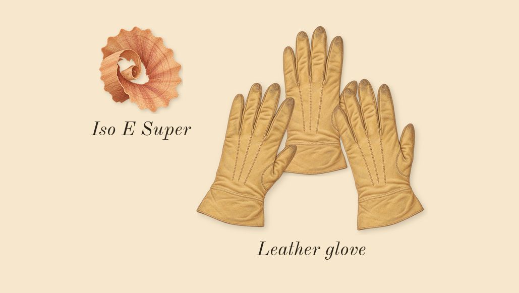 Suede Ibri, dry-down: Leather glove, Iso E Super