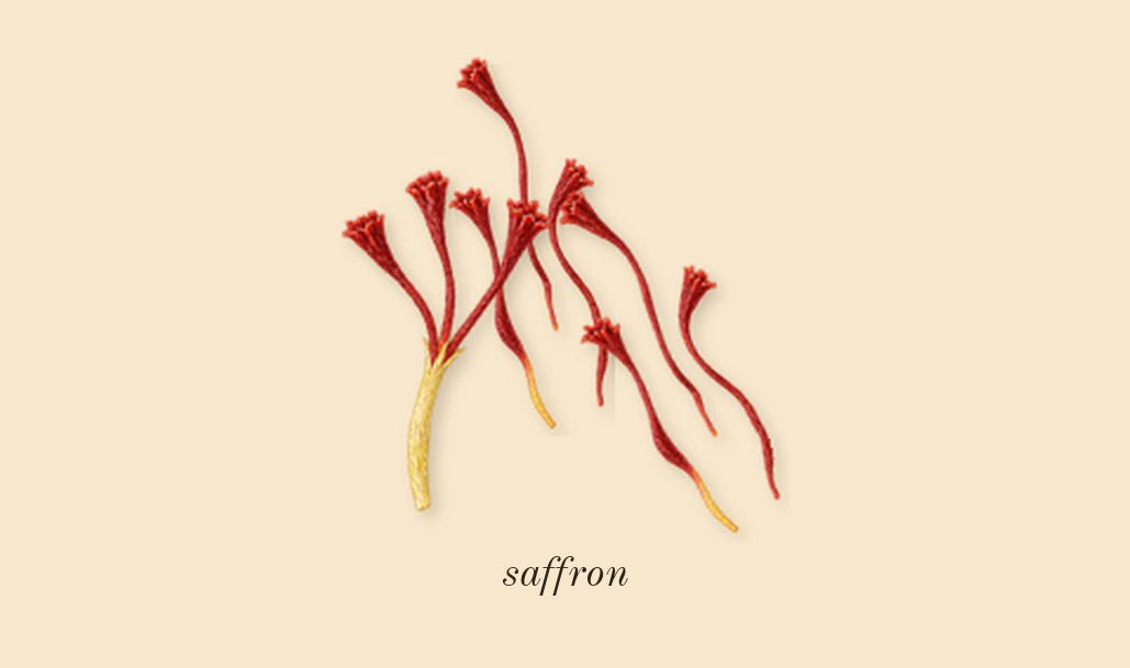 Suede Ibri, heart: saffron