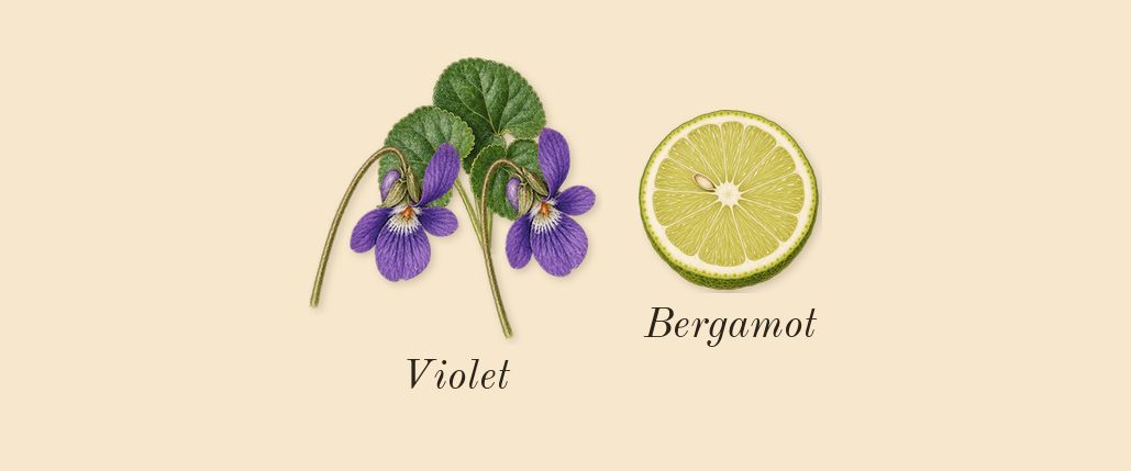 Suede Ibri, top notes: Violet, Bergamot