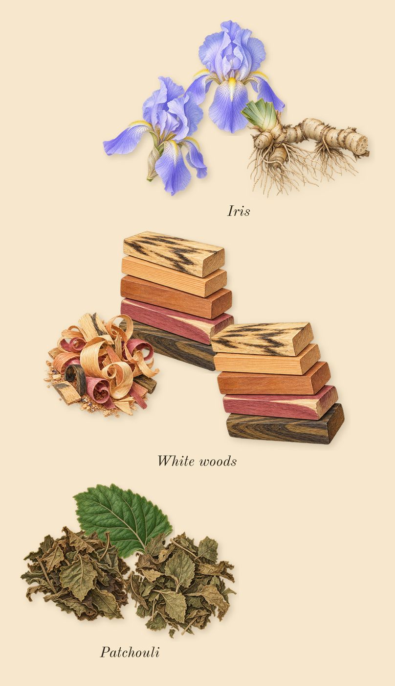 Casablanca, heart: White woods, Patchouli, Iris