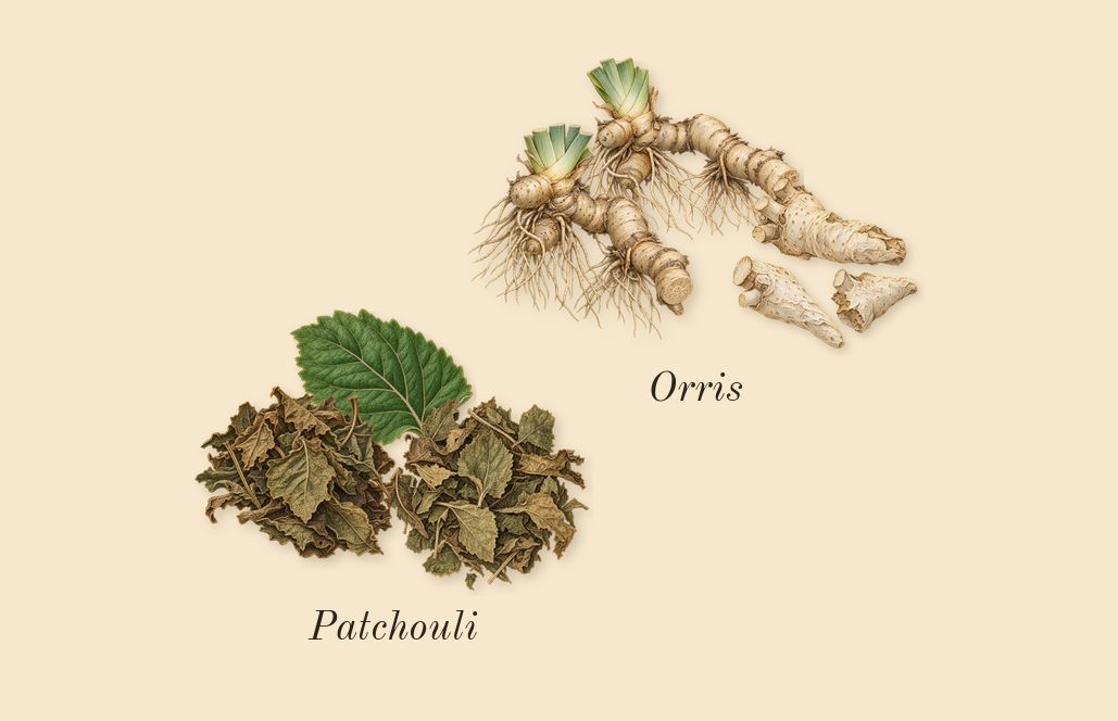 Essence of Casablanca, heart: Patchouli, Orris
