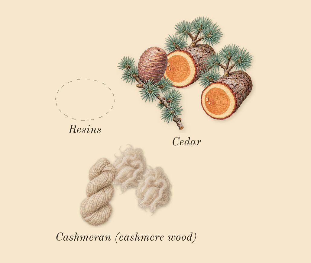 Gharaam, dry-down: Resins, Cedar, Cashmeran (cashmere wood)