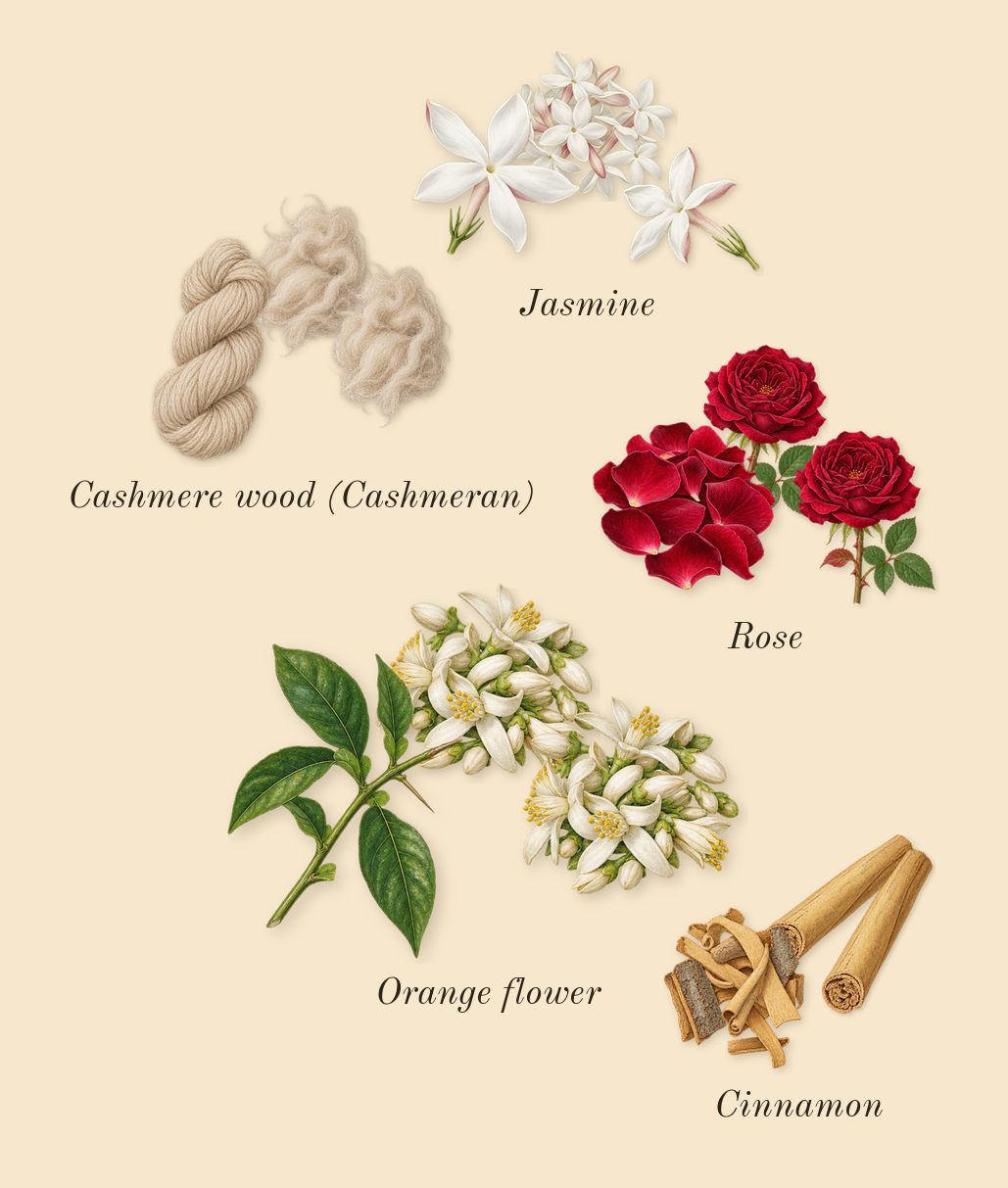 Hawa, heart: Rose, Orange flower, Jasmine, Cashmere wood (Cashmeran), Cinnamon