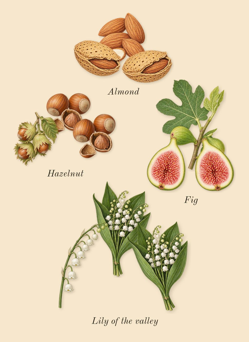 Incense 01, heart: Fig, Lily of the valley, Almond, Hazelnut