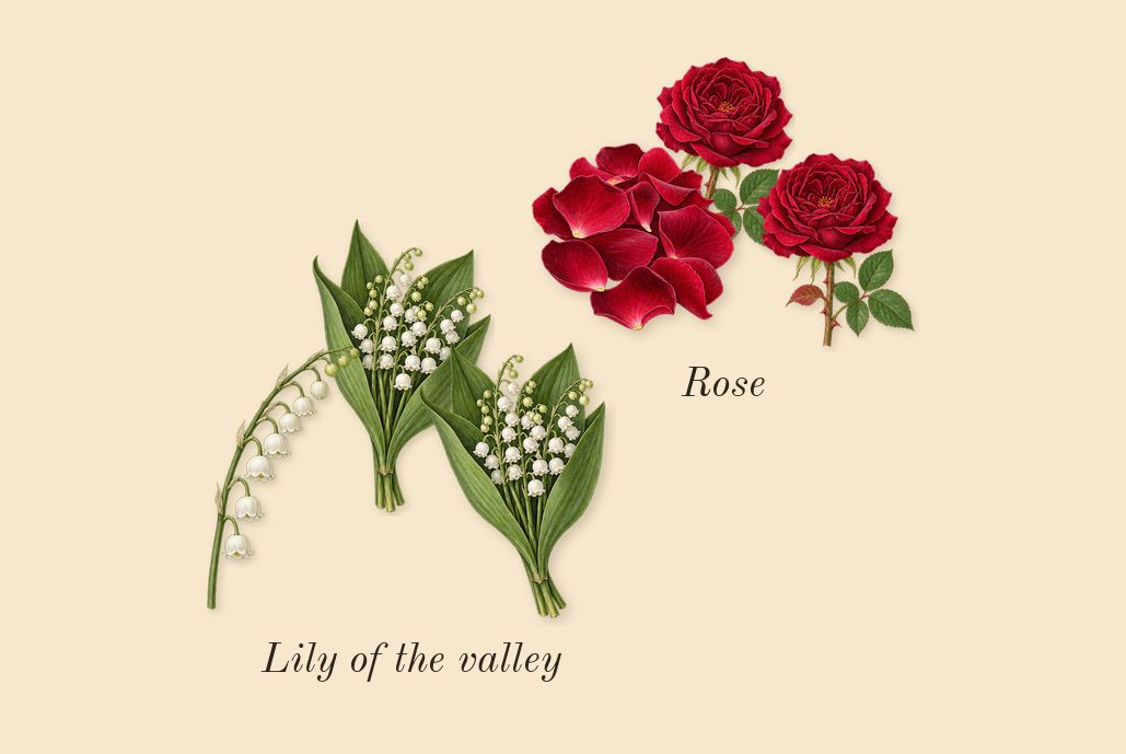 Musk 07, heart: Rose, Lily of the valley