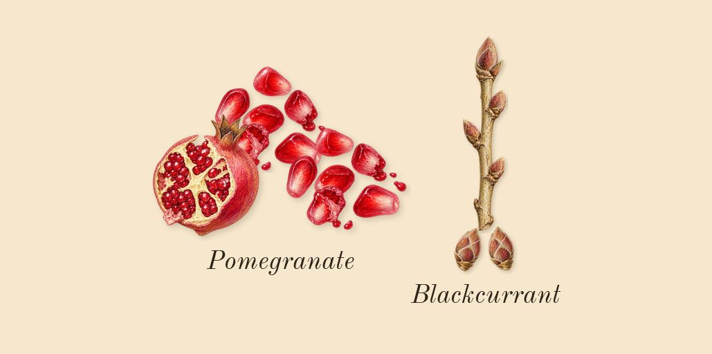 Musk 07, top notes: Pomegranate, Blackcurrant