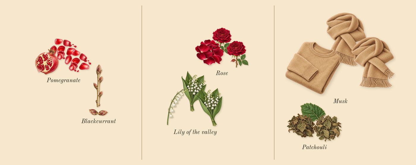 Musk 07’s scent picture, a draft: pomegranate, blackcurrant, rose, lily of the valley, patchouli, musk drawn so far; dashed outlines where nothing is drawn yet