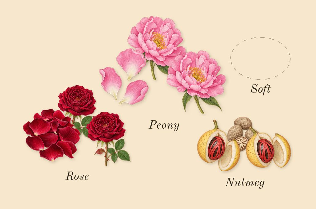 Rose 01, heart: Rose, Peony, Nutmeg