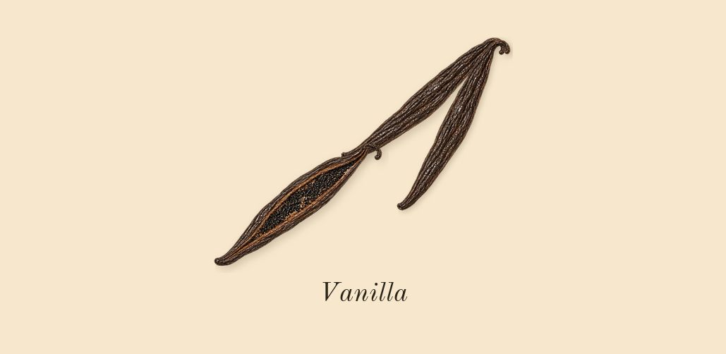 Shaghaf Oud, dry-down: Vanilla