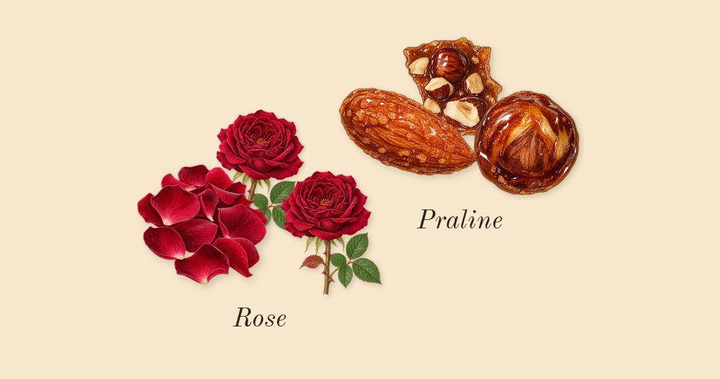 Shaghaf Oud, heart: Rose, Praline