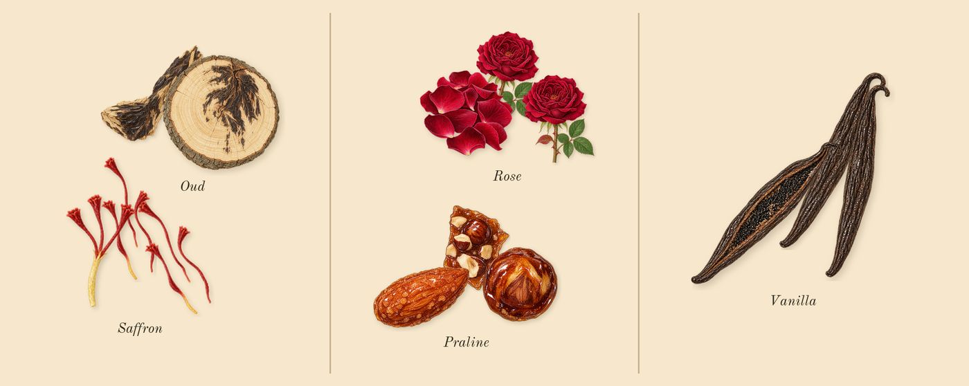 Shaghaf Oud’s scent picture, a draft: saffron, oud, rose, praline, vanilla drawn so far; dashed outlines where nothing is drawn yet