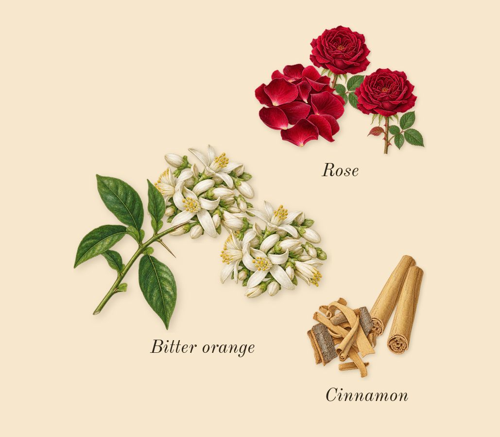 Shaghaf Oud Tonka, heart: Cinnamon, Bitter orange, Rose