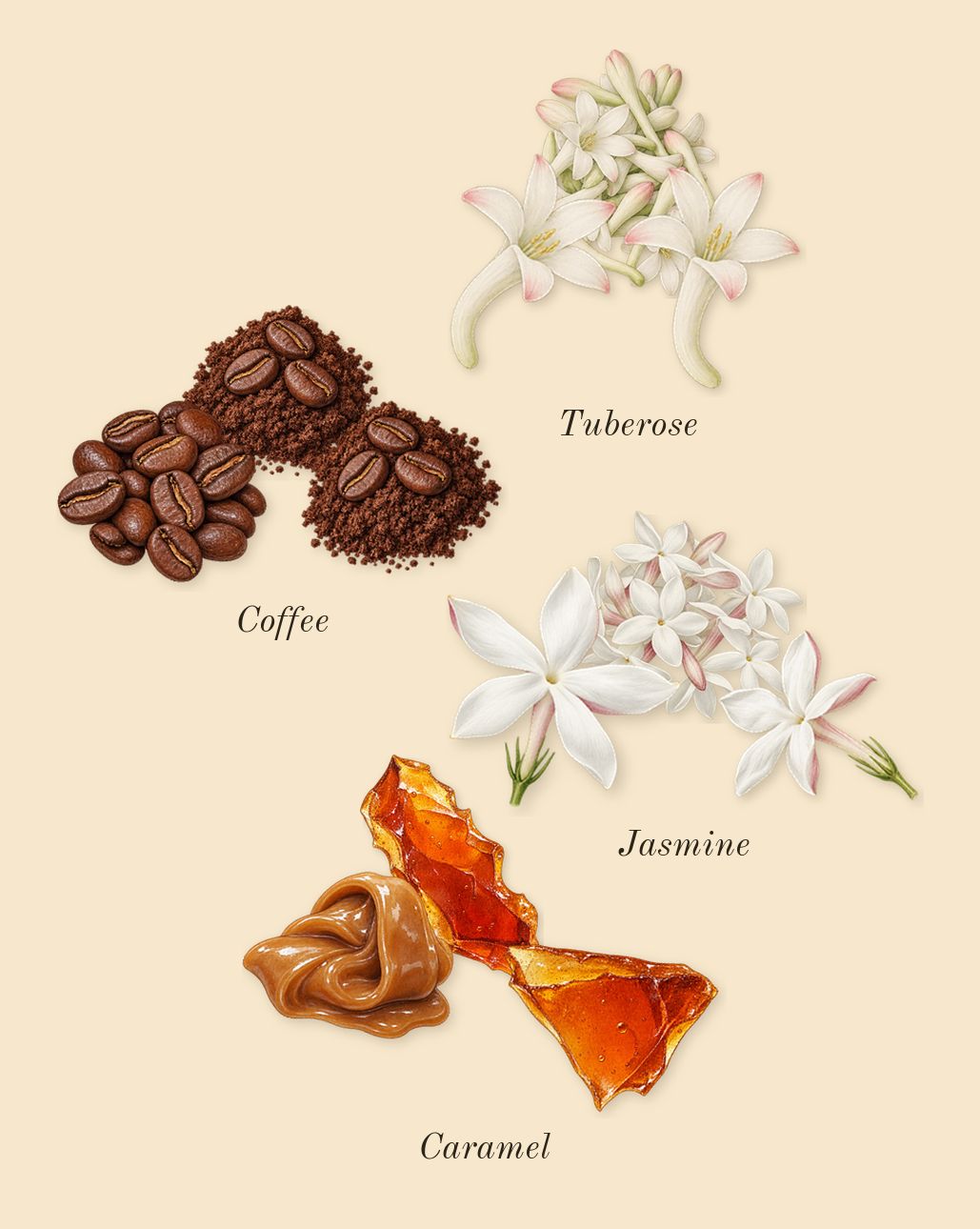 Vanilla 01, heart: Jasmine, Coffee, Caramel, Tuberose