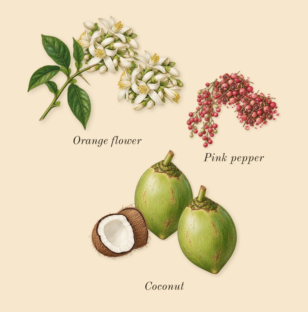 Vanilla 01, top notes: Pink pepper, Orange flower, Coconut