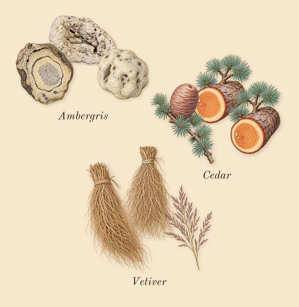 L'Air du Désert Marocain, dry-down: Cedar, Vetiver, Ambergris