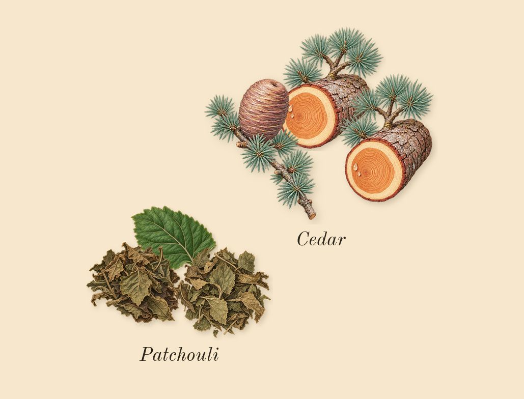 Dusk, heart: Patchouli, Cedar