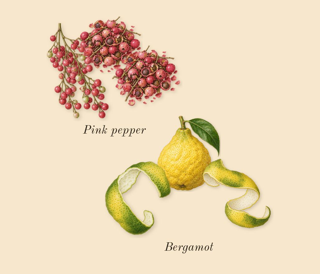 Dusk, top notes: Bergamot, Pink pepper