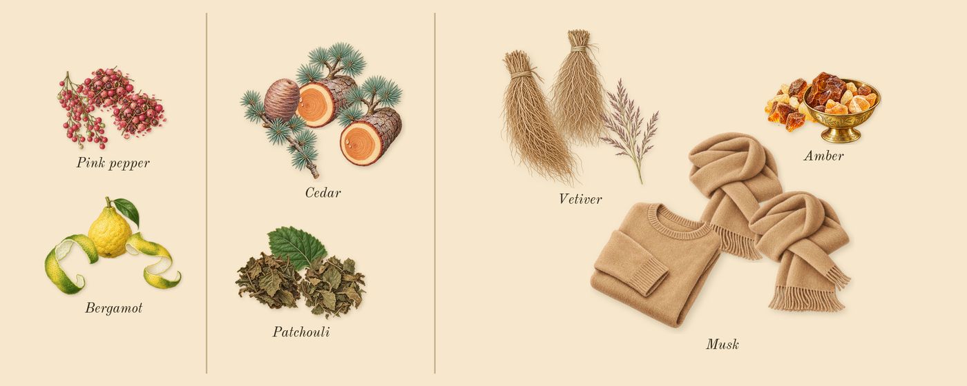 Dusk’s scent picture, a draft: bergamot, pink pepper, patchouli, cedar, amber, vetiver drawn so far; dashed outlines where nothing is drawn yet