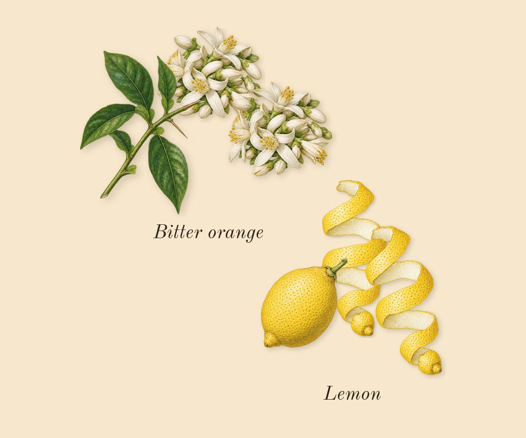 No. 4 Après l'Amour, top notes: Bitter orange, Lemon