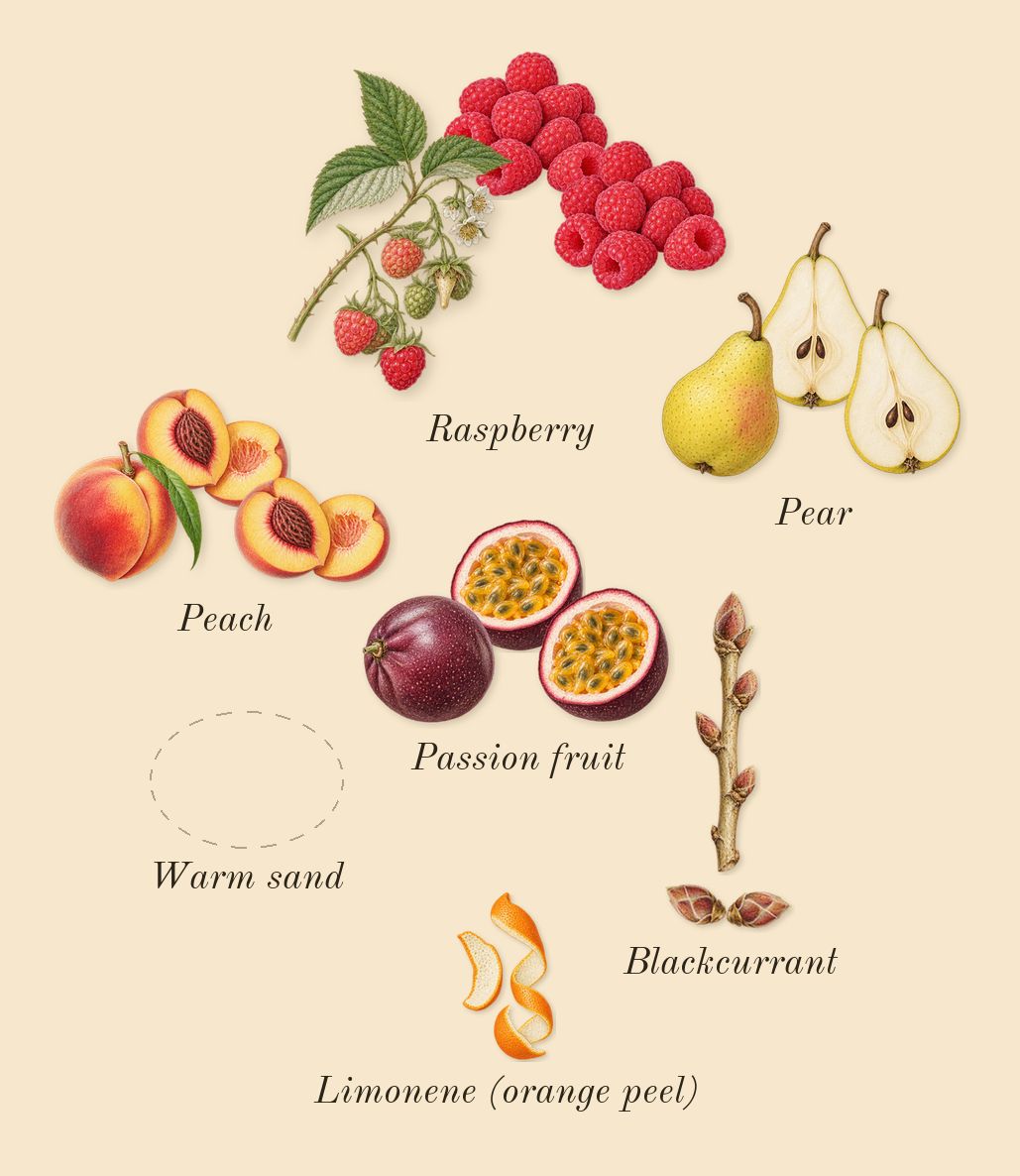 Kirké, top notes: Passion fruit, Peach, Raspberry, Blackcurrant, Pear, Warm sand, Limonene (orange peel)