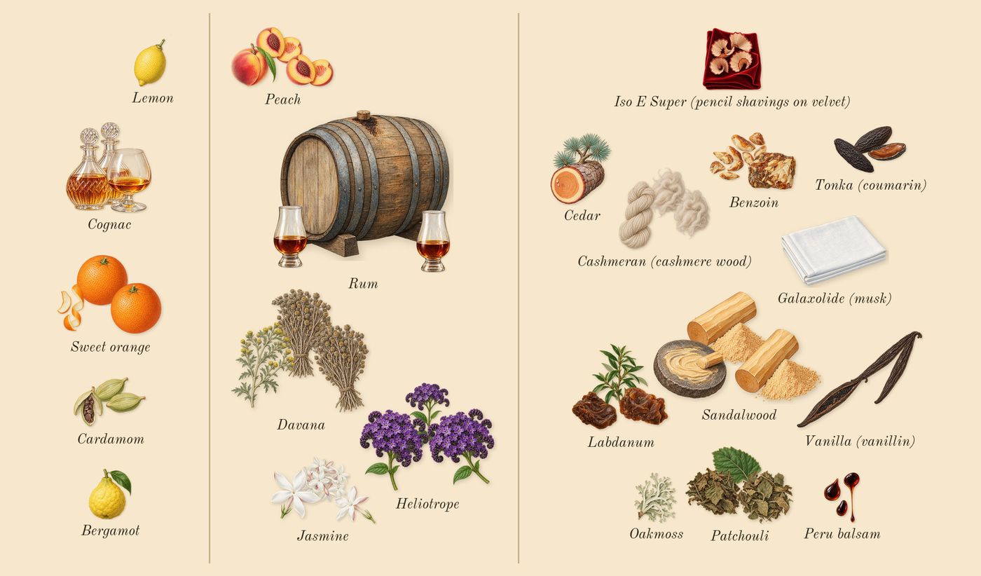 Bitter Peach’s scent picture, a draft: peach, sweet orange, davana, labdanum, patchouli, sandalwood drawn so far; dashed outlines where nothing is drawn yet