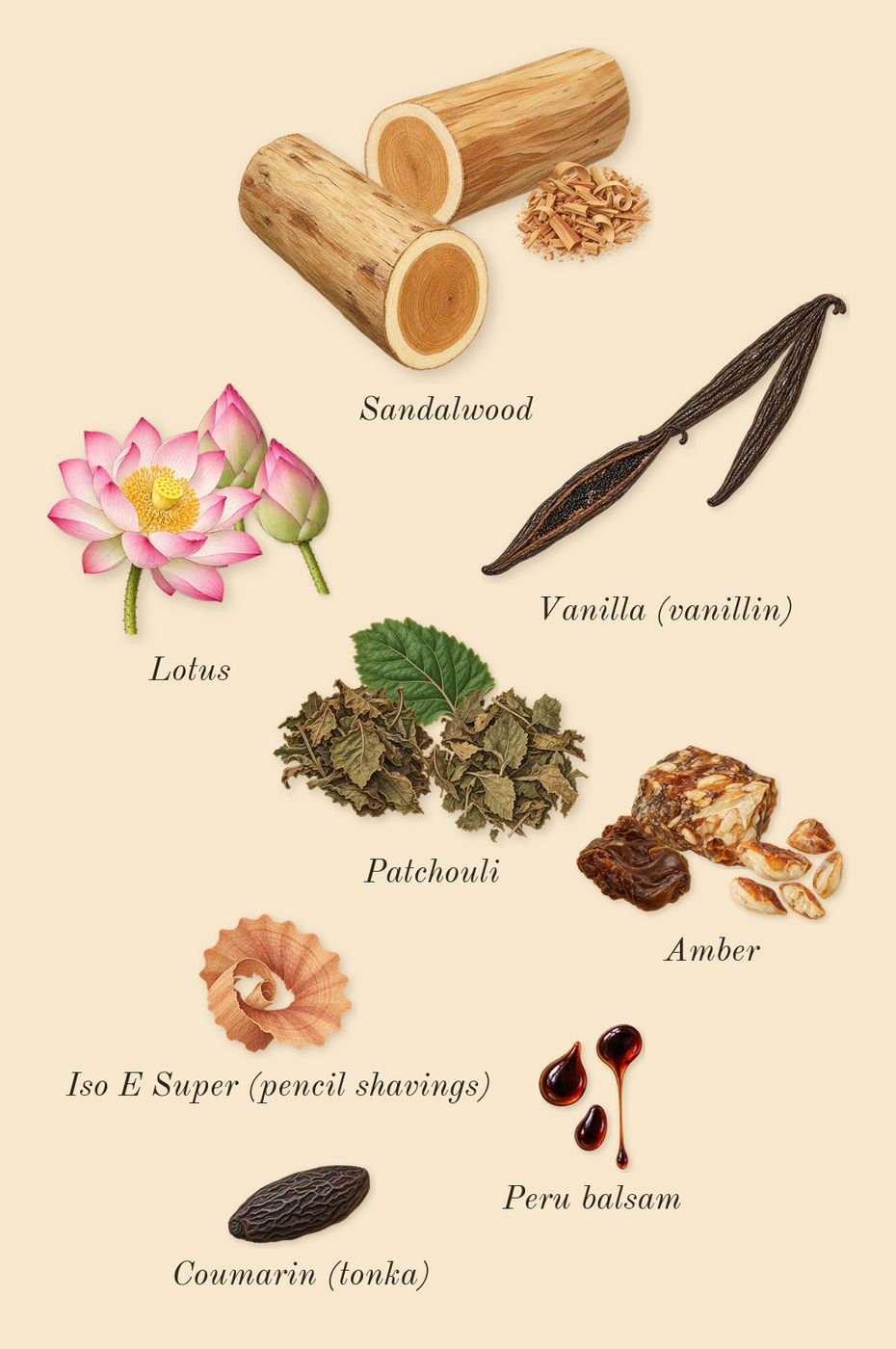 Black Orchid, dry-down: Patchouli, Vanilla (vanillin), Lotus, Amber, Sandalwood, Peru balsam, Iso E Super (pencil shavings), Coumarin (tonka)