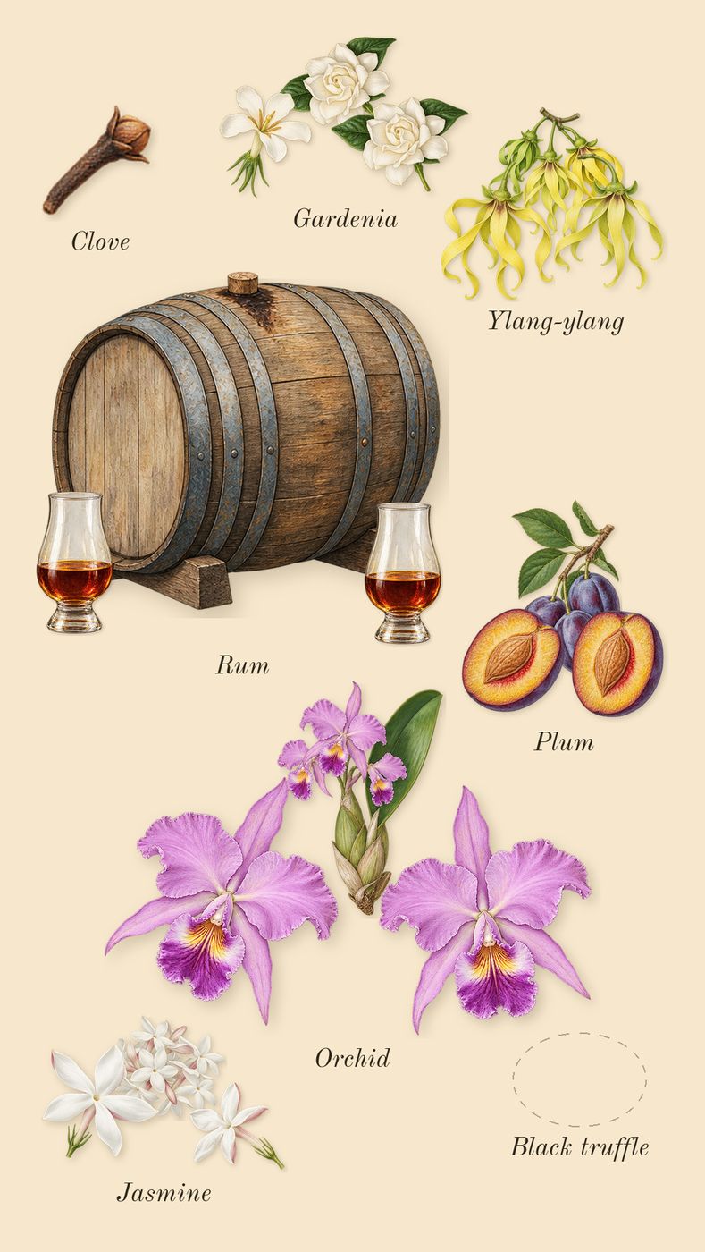 Black Orchid, heart: Black truffle, Ylang-ylang, Orchid, Plum, Rum, Jasmine, Gardenia, Clove